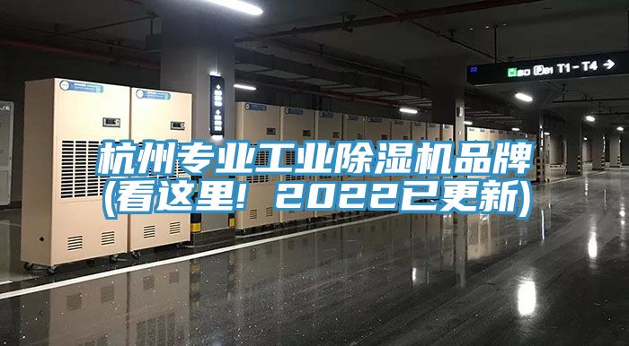 杭州專業工業亚洲深夜福利品牌(看這裏! 2022已更新)