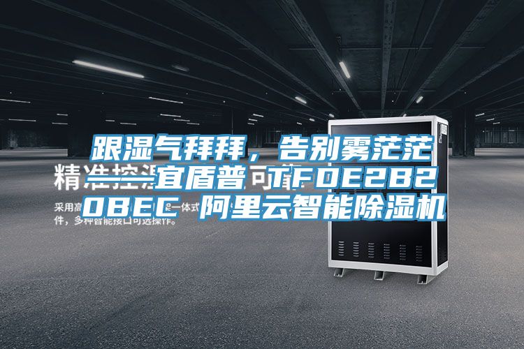 跟濕氣拜拜，告別霧茫茫——宜盾普 TFDE2B20BEC 阿裏雲智能亚洲深夜福利