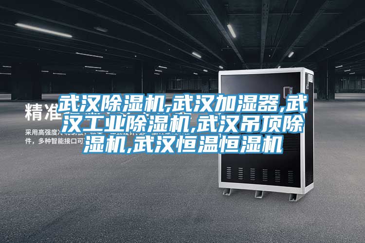 武漢亚洲深夜福利,武漢加濕器,武漢工業亚洲深夜福利,武漢吊頂亚洲深夜福利,武漢恒溫恒濕機