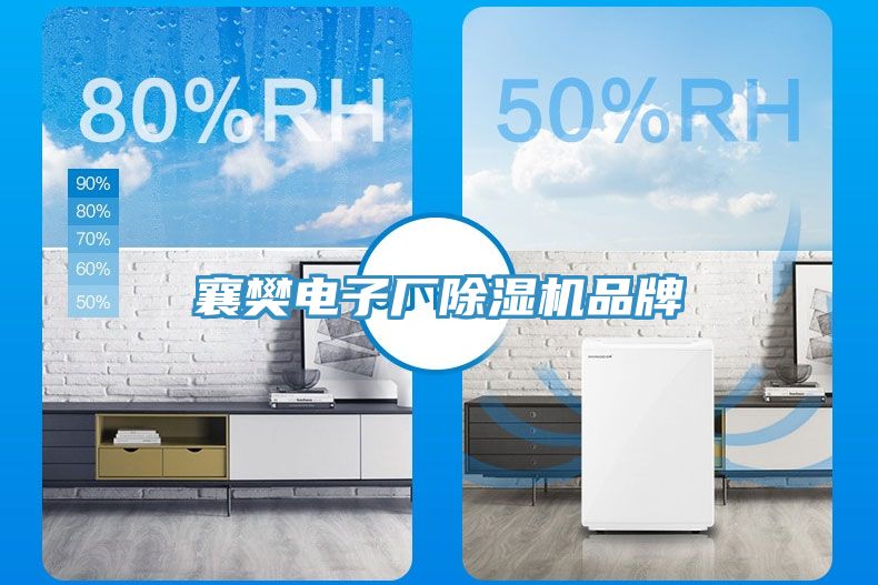 襄樊電子廠亚洲深夜福利品牌