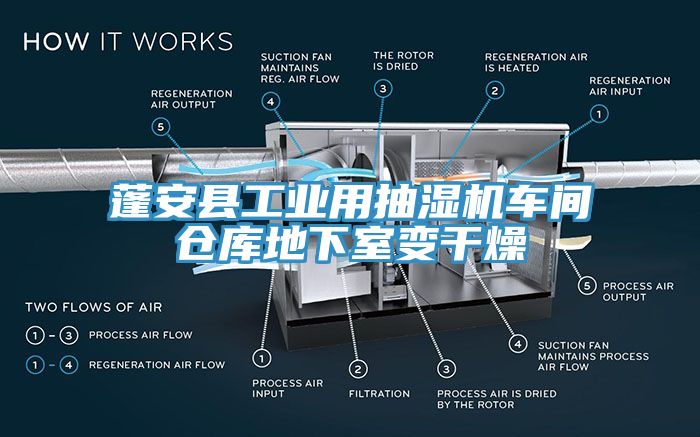 蓬安縣工業用抽濕機車間倉庫地下室變幹燥