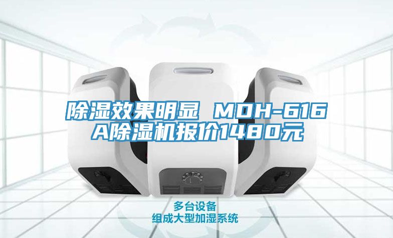 除濕效果明顯 MDH-616A亚洲深夜福利報價1480元