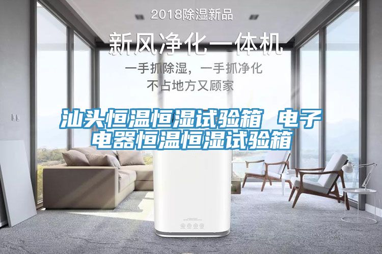 汕頭恒溫恒濕試驗箱 電子電器恒溫恒濕試驗箱