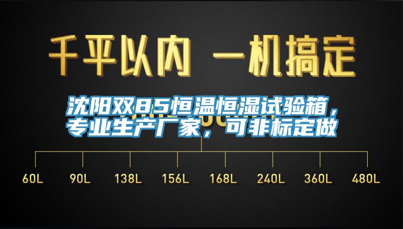 沈陽雙85恒溫恒濕試驗箱，專業生產廠家，可非標定做