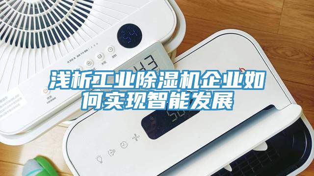 淺析工業亚洲深夜福利企業如何實現智能發展