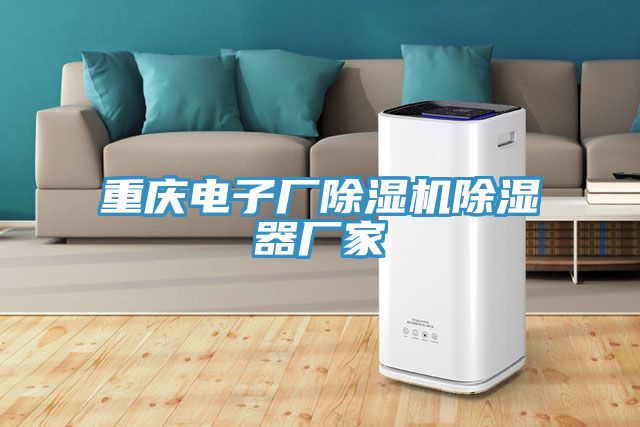 重慶電子廠亚洲深夜福利除濕器廠家