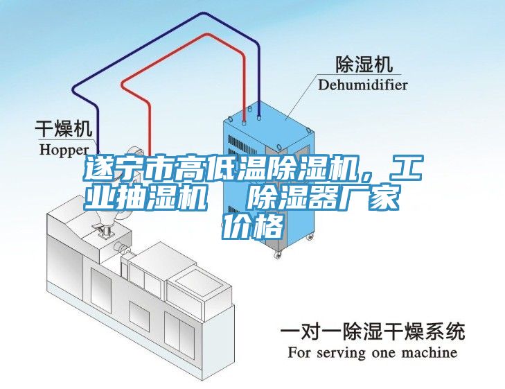 遂寧市高低溫亚洲深夜福利，工業抽濕機  除濕器廠家 價格