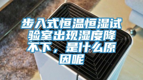 步入式恒溫恒濕試驗室出現濕度降不下，是什麽原因呢