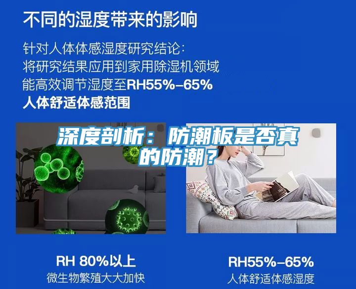 深度剖析：防潮板是否真的防潮？