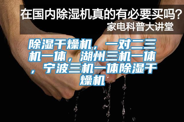 除濕幹燥機，一對二三機一體，湖州三機一體，寧波三機一體除濕幹燥機