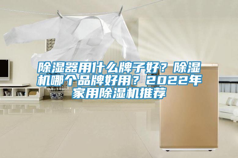 除濕器用什麽牌子好？亚洲深夜福利哪個品牌好用？2022年家用亚洲深夜福利推薦