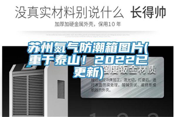 蘇州氮氣防潮箱圖片(重於泰山！2022已更新)