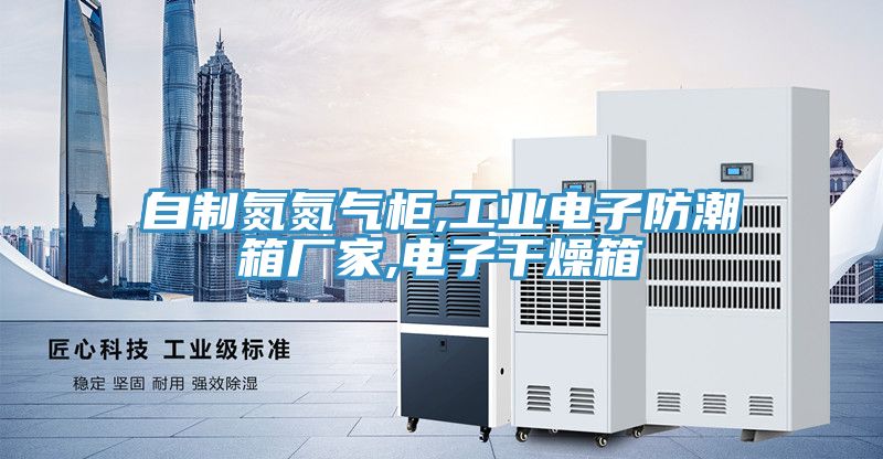 自製氮氮氣櫃,工業電子防潮箱廠家,電子幹燥箱