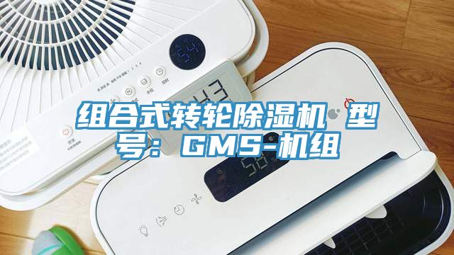 組合式轉輪亚洲深夜福利 型號：GMS-機組