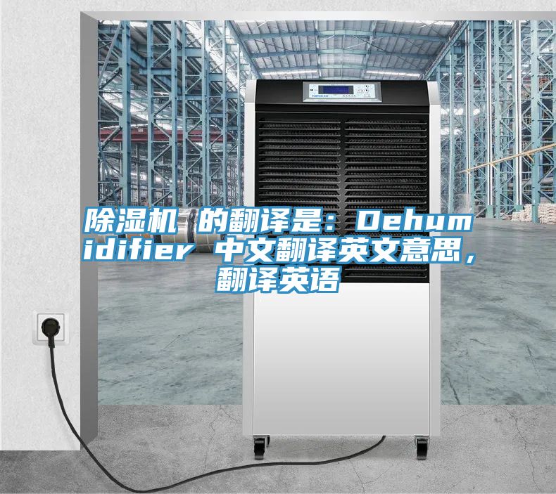 亚洲深夜福利 的翻譯是：Dehumidifier 中文翻譯英文意思，翻譯英語