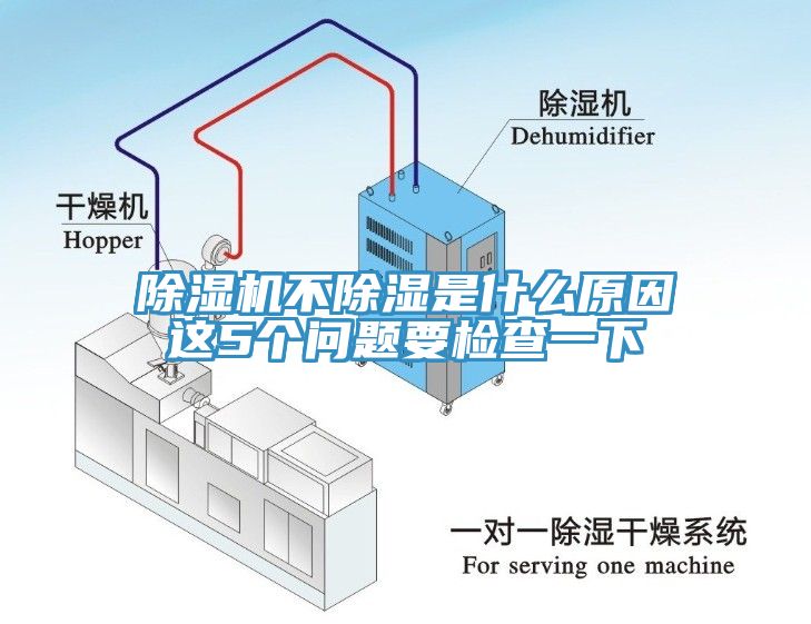 亚洲深夜福利不除濕是什麽原因這5個問題要檢查一下