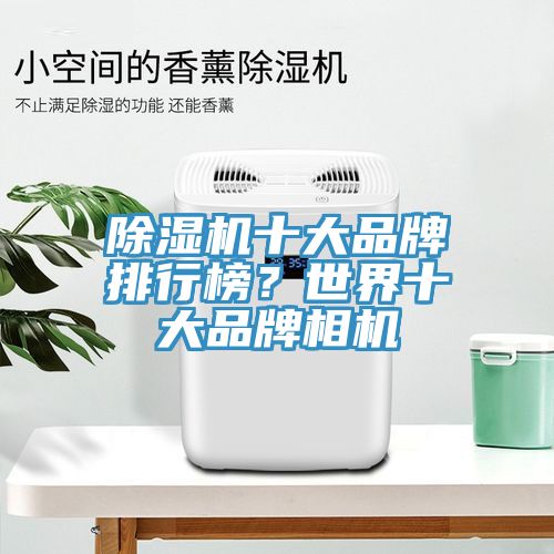 亚洲深夜福利十大品牌排行榜？世界十大品牌相機