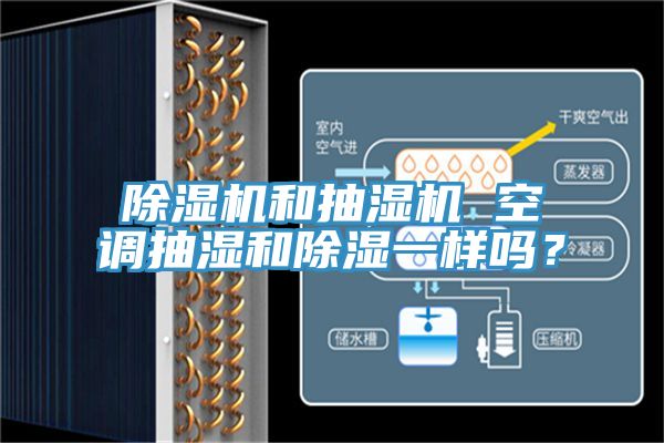 亚洲深夜福利和抽濕機 空調抽濕和除濕一樣嗎？