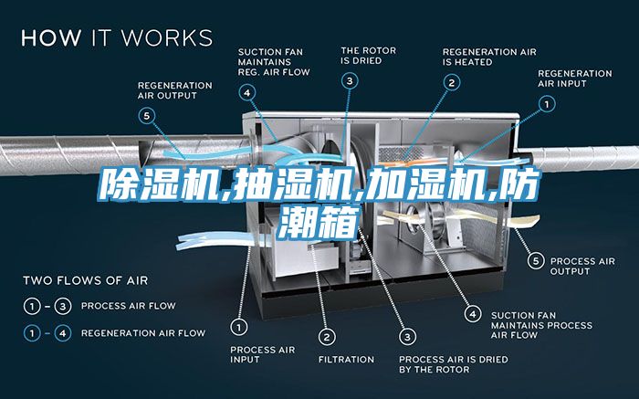 亚洲深夜福利,抽濕機,加濕機,防潮箱