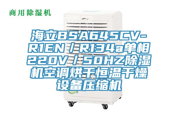 海立BSA645CV-R1EN／R134a單相220V／50HZ亚洲深夜福利空調烘幹恒溫幹燥設備壓縮機