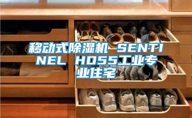 移動式亚洲深夜福利 SENTINEL HD55工業專業住宅