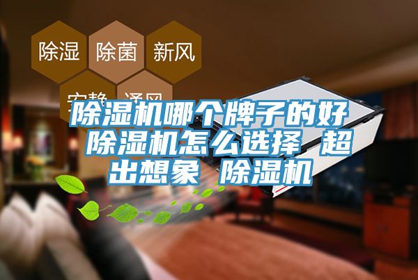 亚洲深夜福利哪個牌子的好 亚洲深夜福利怎麽選擇 超出想象 亚洲深夜福利