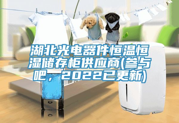 湖北光電器件恒溫恒濕儲存櫃供應商(參與吧，2022已更新)