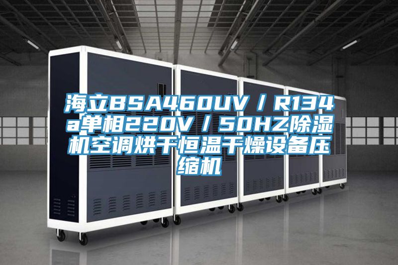 海立BSA460UV／R134a單相220V／50HZ亚洲深夜福利空調烘幹恒溫幹燥設備壓縮機