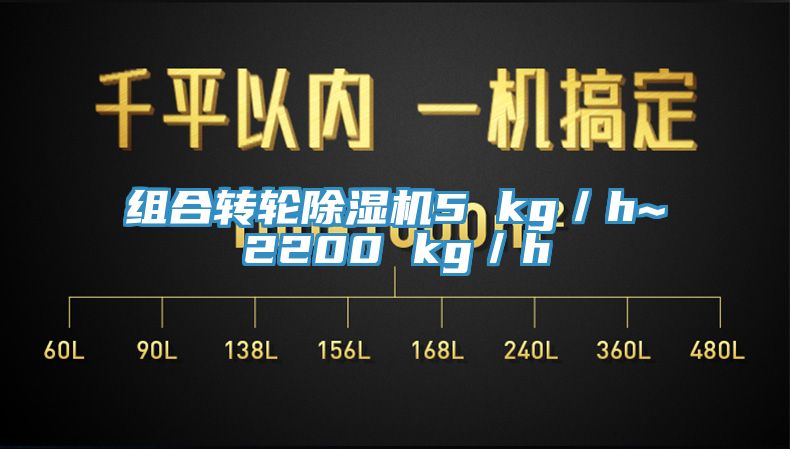 組合轉輪亚洲深夜福利5 kg／h~2200 kg／h