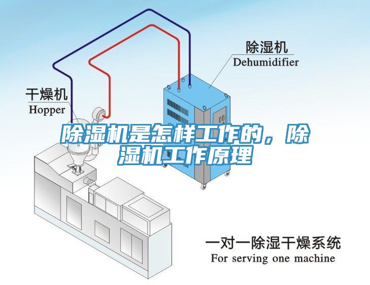 亚洲深夜福利是怎樣工作的，亚洲深夜福利工作原理