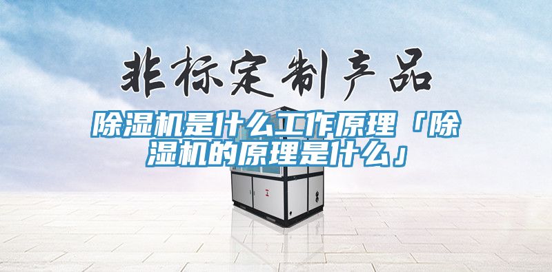 亚洲深夜福利是什麽工作原理「亚洲深夜福利的原理是什麽」