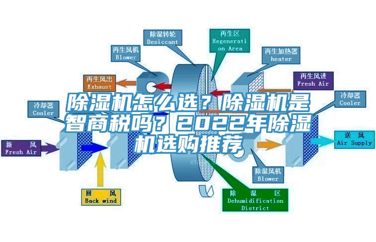 亚洲深夜福利怎麽選？亚洲深夜福利是智商稅嗎？2022年亚洲深夜福利選購推薦