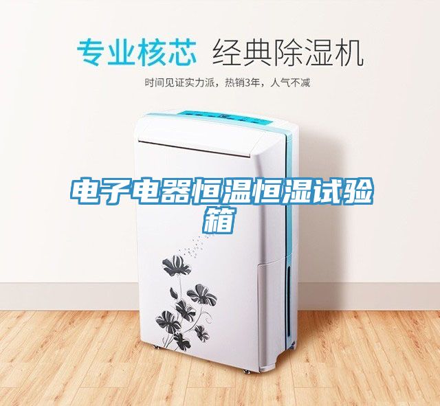 電子電器恒溫恒濕試驗箱