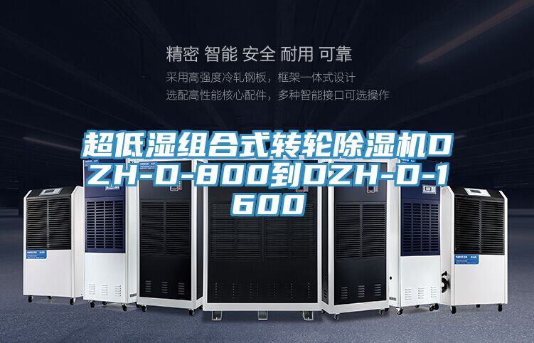 超低濕組合式轉輪亚洲深夜福利DZH-D-800到DZH-D-1600